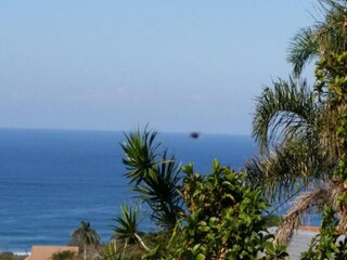 Apartment Newark Umgebung 44