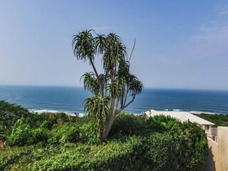 Apartamento Newark Entorno 45