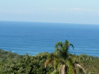 Apartamento Newark Entorno 49