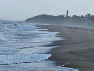 Apartment Newark Environment 59