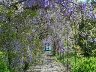 Maison de vacances Callington Enregistrement extérieur 7