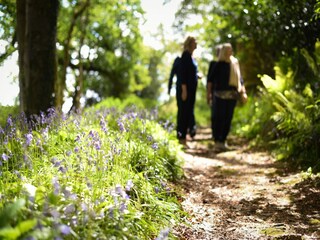Ferienhaus Callington Außenaufnahme 6