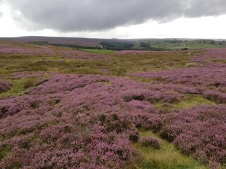 Casa vacanze Ripon Ambiente 18