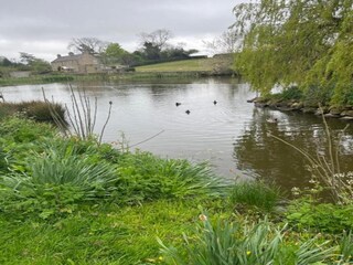 Casa vacanze Ripon Ambiente 24