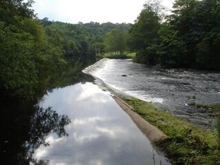 Vakantiehuisje Ripon Omgeving 25