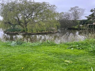 Casa vacanze Ripon Ambiente 17