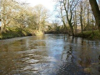 Vakantiehuisje Ripon Omgeving 33