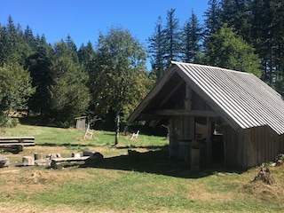 Casa de vacaciones Rombach-Le-Franc Entorno 18