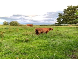 Chalet Malton Entorno 23