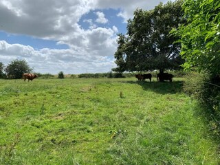 Chalet Malton Environnement 24