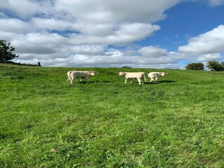 Chalet Malton Environment 33