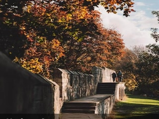 Chalet Malton Environment 21