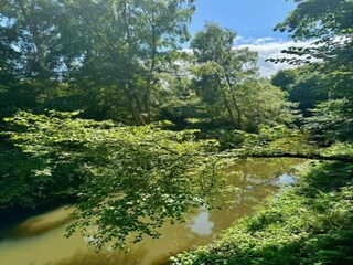 Chalet Welshpool Ambiente 32