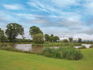 Chalet Welshpool Omgeving 15