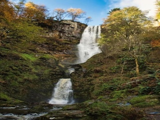 Chalet Welshpool Environment 28