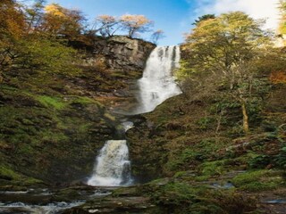 Chalet Welshpool Environnement 28