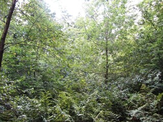 Chalet Welshpool Ambiente 16