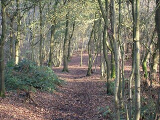 Chalet Welshpool Ambiente 30