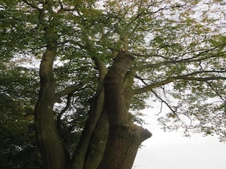 Chalet Welshpool Environment 19