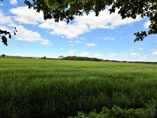 Chalet Welshpool Environnement 37