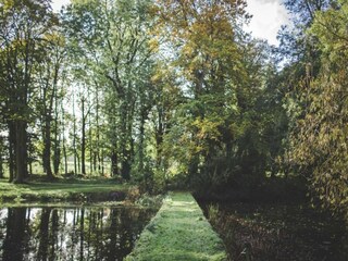 Chalet Welshpool Environnement 22
