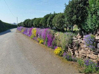 Chalet Welshpool Environnement 27