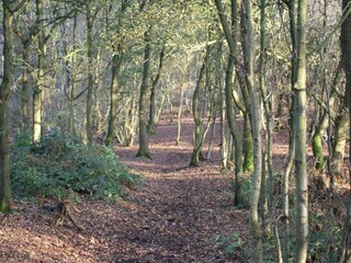 Chalet Welshpool Entorno 33