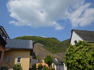 Ferienhaus Bremm Außenaufnahme 7