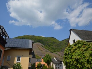 Vakantiehuis Bremm Omgeving 33