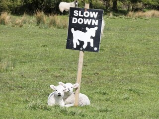 Appartement Welt Environnement 25