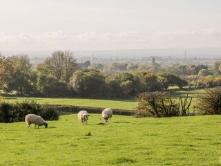 Appartamento Welt Ambiente 27