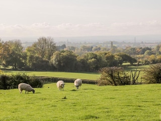 Appartement Welt Environnement 30