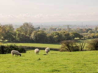 Appartamento Welt Ambiente 24