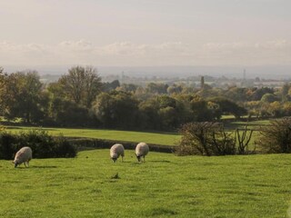 Apartment Welt Umgebung 21