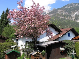 Blick aus dem Fenster