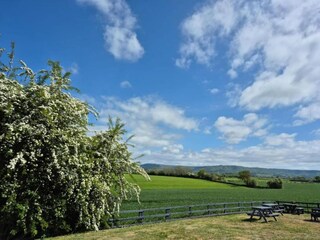 Holiday cottage Welt Environment 12