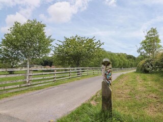 Vakantiehuisje Welt Omgeving 21