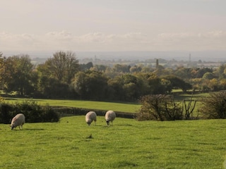Schloss Welt Umgebung 30