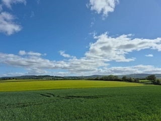 Schloss Welt Umgebung 32