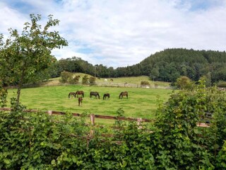 Château Welt Environnement 22