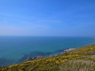 Vakantiehuisje Plymouth Omgeving 25