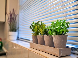 Casa de vacaciones Hope Características 10