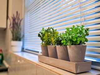 Holiday cottage Hope Features 9