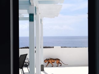 Apartment Santa Cruz de la Palma  12