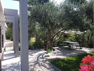 Apartment Kastel Stafilic Außenaufnahme 19