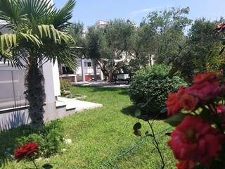 Apartamento Kastel Stafilic Grabación al aire libre 4