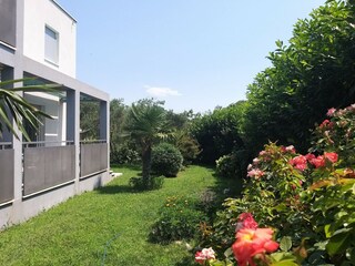 Apartment Kastel Stafilic Outdoor Recording 4