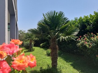 Apartamento Kastel Stafilic Grabación al aire libre 3