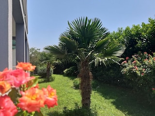 Appartement Kastel Stafilic Buitenaudio-opname 3