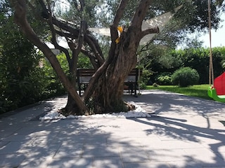 Apartment Kastel Stafilic Außenaufnahme 11